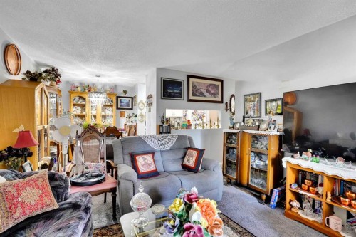 203-21 Dover Point Se, Calgary, AB - Indoor Photo Showing Living Room