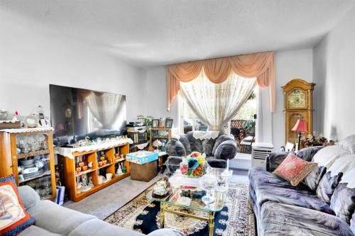 203-21 Dover Point Se, Calgary, AB - Indoor Photo Showing Living Room