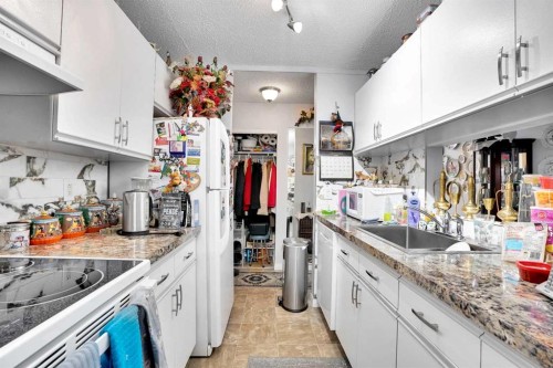 203-21 Dover Point Se, Calgary, AB - Indoor Photo Showing Kitchen With Upgraded Kitchen