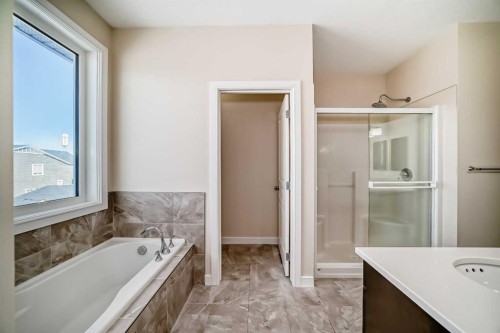 437 Redstone Grove Ne, Calgary, AB - Indoor Photo Showing Bathroom