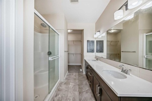 437 Redstone Grove Ne, Calgary, AB - Indoor Photo Showing Bathroom