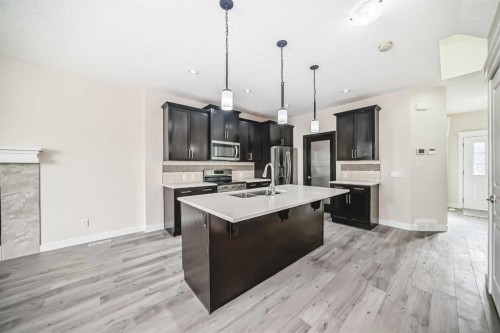 437 Redstone Grove Ne, Calgary, AB - Indoor Photo Showing Kitchen With Double Sink With Upgraded Kitchen