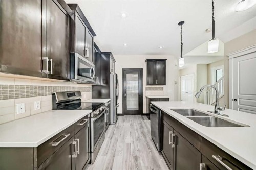 437 Redstone Grove Ne, Calgary, AB - Indoor Photo Showing Kitchen With Double Sink With Upgraded Kitchen