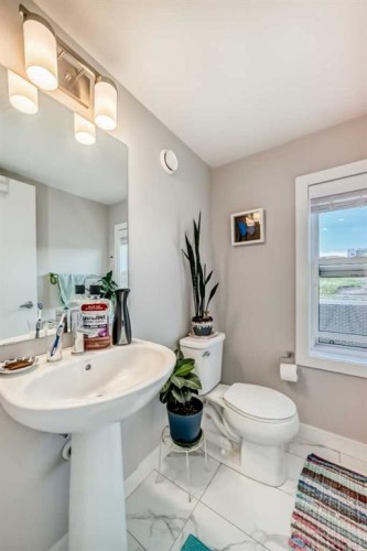 118 Sage Meadows Gardens Nw, Calgary, AB - Indoor Photo Showing Bathroom