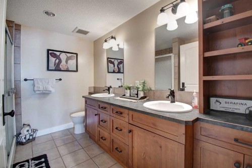 274181 Range Road 23, Rural Rocky View County, AB - Indoor Photo Showing Bathroom
