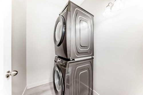9 Saddlecrest Crescent Ne, Calgary, AB - Indoor Photo Showing Laundry Room