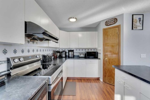 3790 Catalina Boulevard Ne, Calgary, AB - Indoor Photo Showing Kitchen
