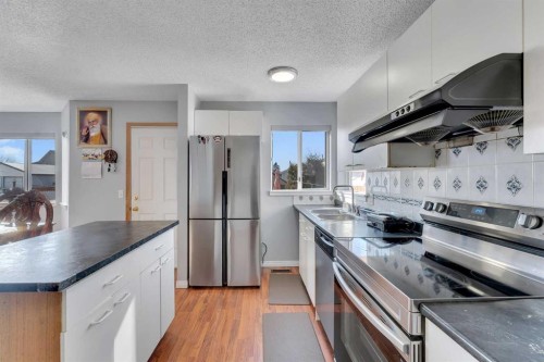 3790 Catalina Boulevard Ne, Calgary, AB - Indoor Photo Showing Kitchen With Stainless Steel Kitchen