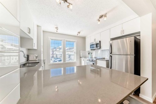 272 Cranbrook Square Se, Calgary, AB - Indoor Photo Showing Kitchen With Stainless Steel Kitchen With Double Sink With Upgraded Kitchen