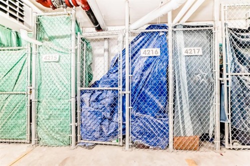 4216-31 Country Village Manor Ne, Calgary, AB - Indoor With Storage