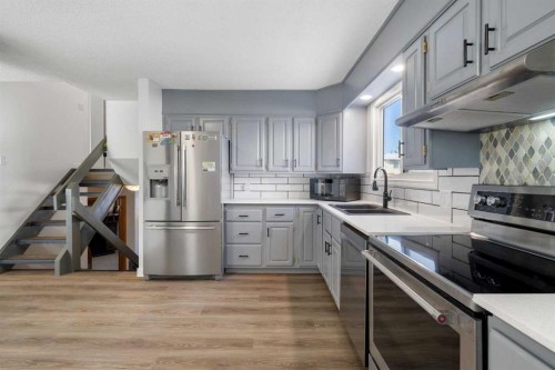 95 Beddington Way Ne, Calgary, AB - Indoor Photo Showing Kitchen With Double Sink