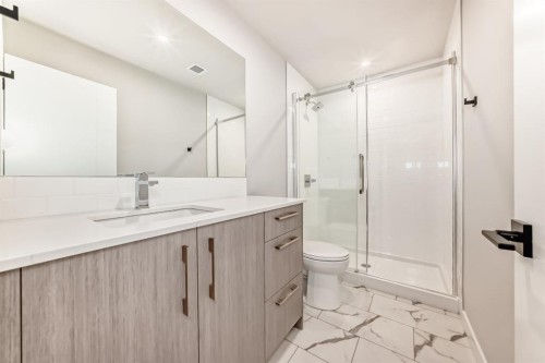 325-110 18A Street Nw, Calgary, AB - Indoor Photo Showing Bathroom