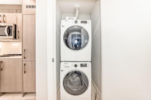 325-110 18A Street Nw, Calgary, AB - Indoor Photo Showing Laundry Room