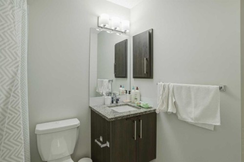 206-12 Sage Hill Terrace Nw, Calgary, AB - Indoor Photo Showing Bathroom