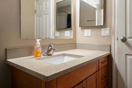 338 Georgian Villas Ne, Calgary, AB - Indoor Photo Showing Bathroom