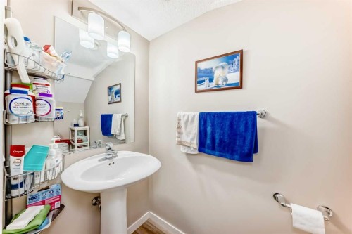 38 Auburn Bay Link Se, Calgary, AB - Indoor Photo Showing Bathroom