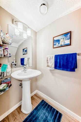 38 Auburn Bay Link Se, Calgary, AB - Indoor Photo Showing Bathroom