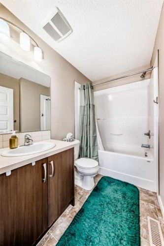 38 Auburn Bay Link Se, Calgary, AB - Indoor Photo Showing Bathroom
