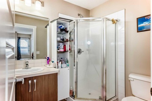 38 Auburn Bay Link Se, Calgary, AB - Indoor Photo Showing Bathroom