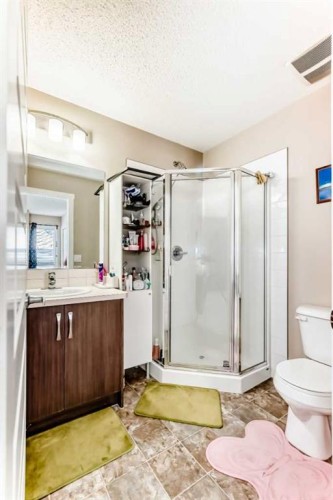 38 Auburn Bay Link Se, Calgary, AB - Indoor Photo Showing Bathroom