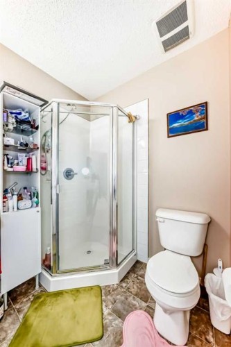 38 Auburn Bay Link Se, Calgary, AB - Indoor Photo Showing Bathroom