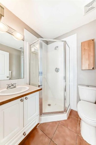 309-1540 17 Avenue Sw, Calgary, AB - Indoor Photo Showing Bathroom