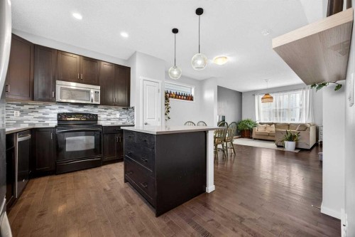 369 Walden Parade Se, Calgary, AB - Indoor Photo Showing Kitchen With Upgraded Kitchen