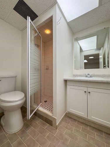 2212 72 Avenue Se, Calgary, AB - Indoor Photo Showing Bathroom