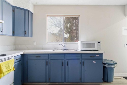 3811 14 Avenue Ne, Calgary, AB - Indoor Photo Showing Kitchen With Double Sink
