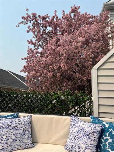 25 Promenade Way Se, Calgary, AB - Outdoor