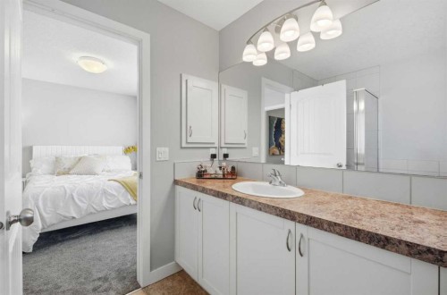 53 Sagehill Common Nw, Calgary, AB - Indoor Photo Showing Bathroom