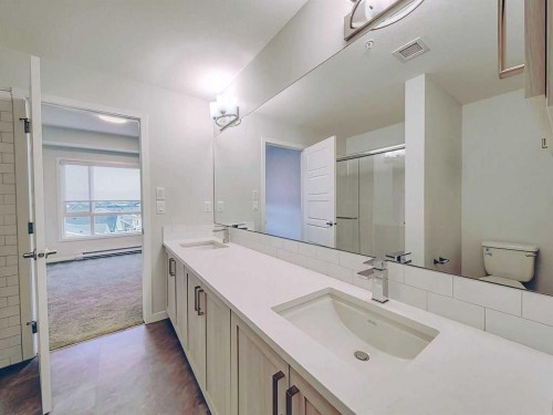 2412-220 Seton Grove Se, Calgary, AB - Indoor Photo Showing Bathroom