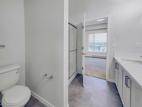 2412-220 Seton Grove Se, Calgary, AB - Indoor Photo Showing Bathroom