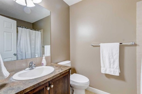 185 Brightonstone Landing Se, Calgary, AB - Indoor Photo Showing Bathroom
