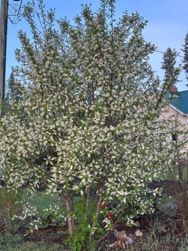 3146 Township Road 360, Rural Red Deer County, AB - Outdoor