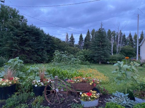 3146 Township Road 360, Rural Red Deer County, AB - Outdoor