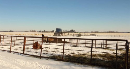3146 Township Road 360, Rural Red Deer County, AB - Outdoor With View