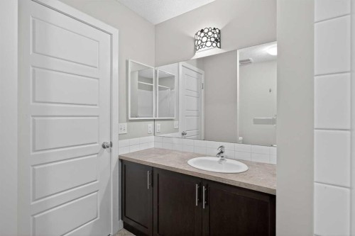 254 Pantego Lane Nw, Calgary, AB - Indoor Photo Showing Bathroom