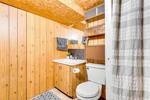 215 4 Avenue Se, Three Hills, AB - Indoor Photo Showing Bathroom