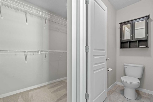 2148 Brightoncrest Green Se, Calgary, AB - Indoor Photo Showing Bathroom