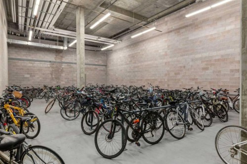 2704-211 13 Avenue Se, Calgary, AB - Indoor Photo Showing Garage