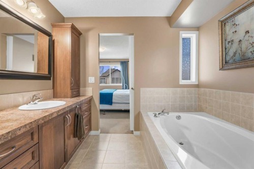 883 Auburn Bay Boulevard Se, Calgary, AB - Indoor Photo Showing Bathroom