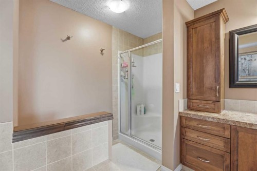 883 Auburn Bay Boulevard Se, Calgary, AB - Indoor Photo Showing Bathroom