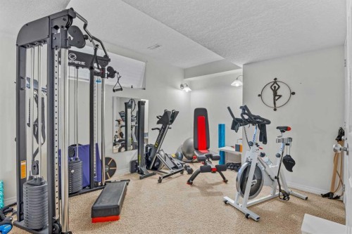 883 Auburn Bay Boulevard Se, Calgary, AB - Indoor Photo Showing Gym Room