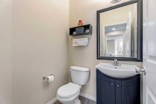 883 Auburn Bay Boulevard Se, Calgary, AB - Indoor Photo Showing Bathroom