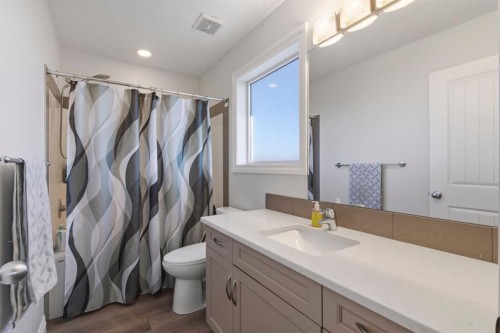 729 Hampton Hills Drive Ne, High River, AB - Indoor Photo Showing Bathroom