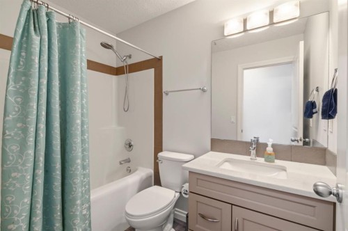 729 Hampton Hills Drive Ne, High River, AB - Indoor Photo Showing Bathroom