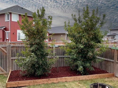 729 Hampton Hills Drive Ne, High River, AB - Outdoor