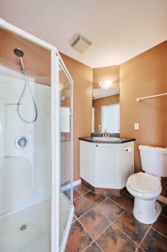 152 Harvest Gold Heights Ne, Calgary, AB - Indoor Photo Showing Bathroom