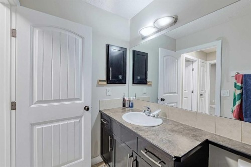 303 Saddlebrook Way Ne, Calgary, AB - Indoor Photo Showing Bathroom
